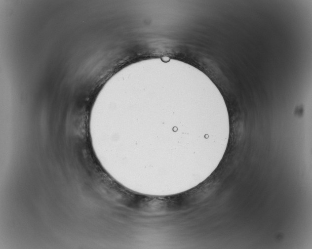 X0000114230325200911201115
