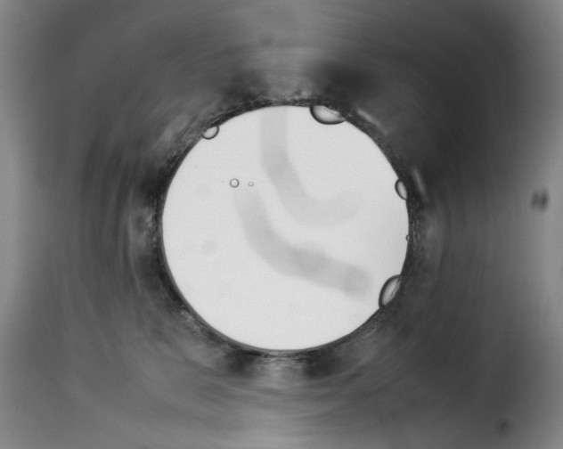 X0000114230327200911201115