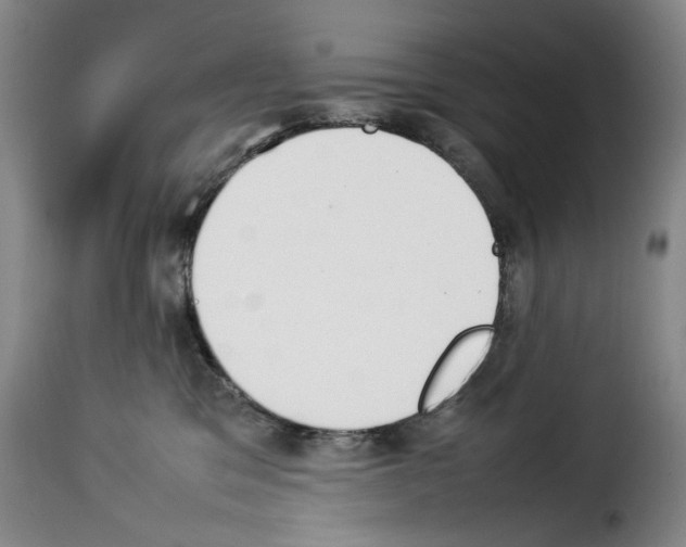 X0000114230329200911201115