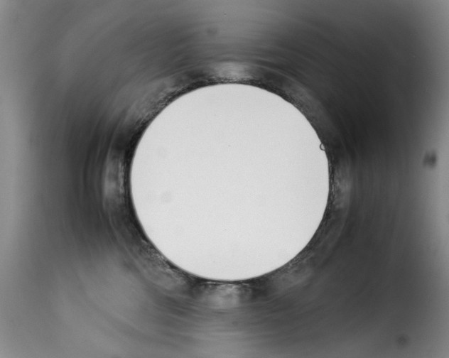 X0000114230330200911201115