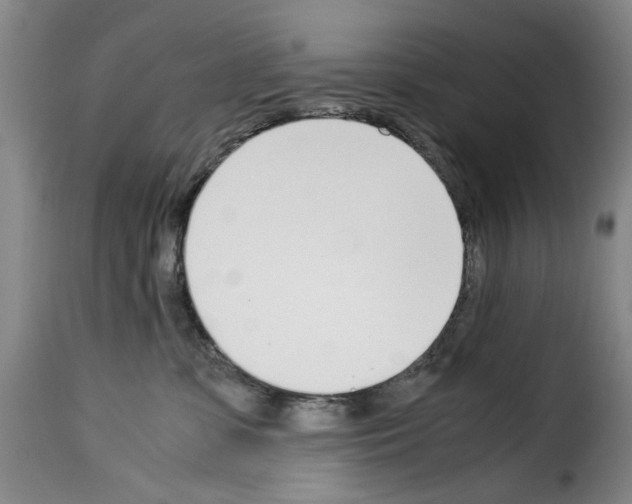 X0000114230331200911201115