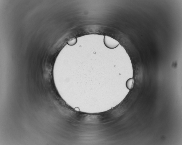 X0000114230332200911201115