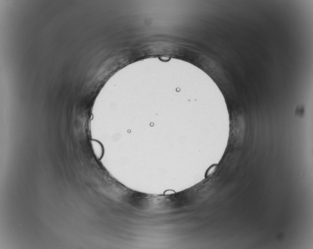 X0000114230333200911201115
