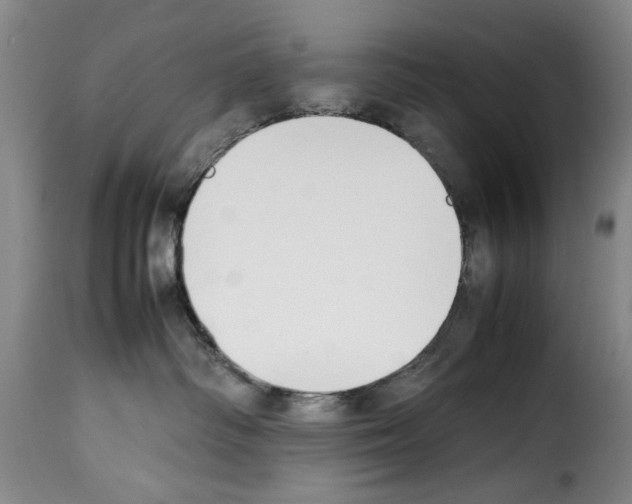 X0000114230334200911201115