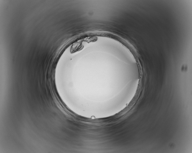 X0000114230336200911201115