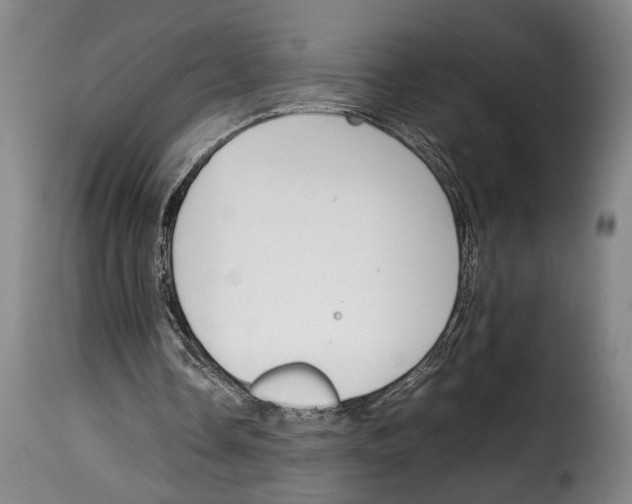 X0000114230338200911201114