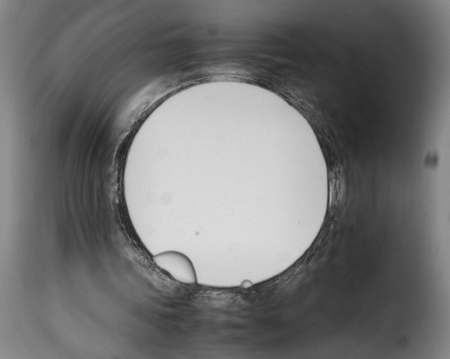 X0000114230339200911201115