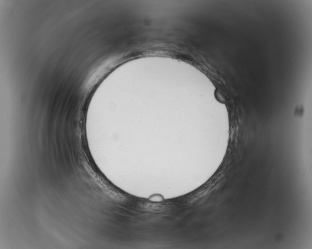 X0000114230341200911201115