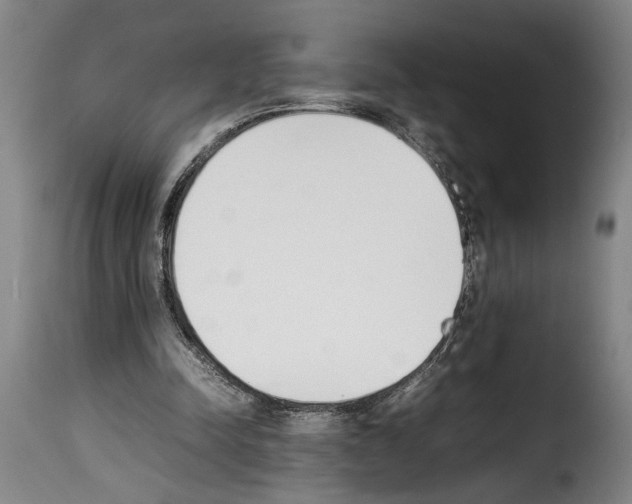 X0000114230342200911201115