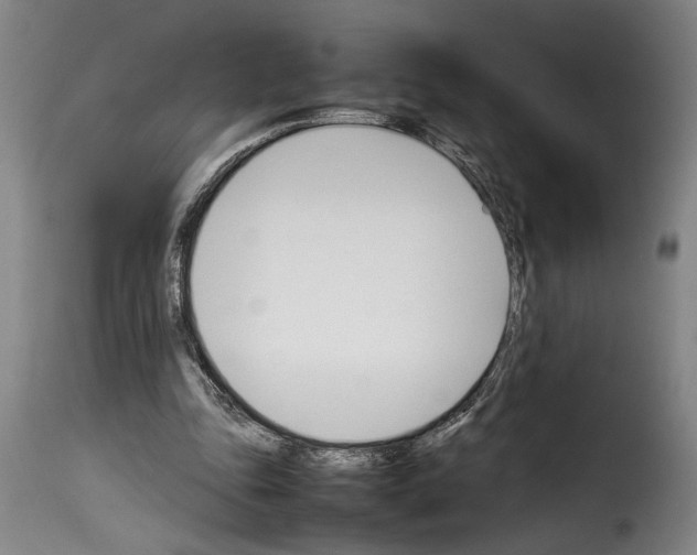 X0000114230343200911201115
