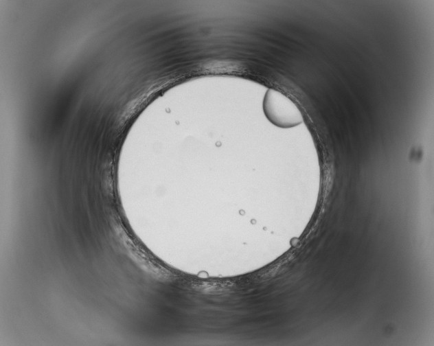 X0000114230345200911201115