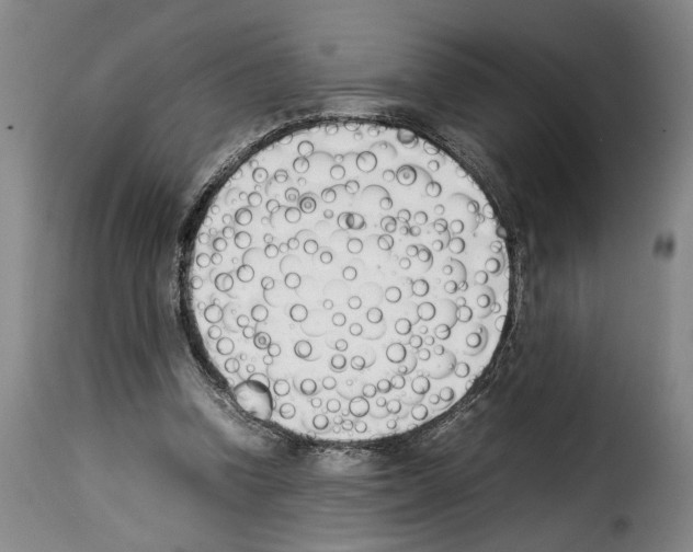 X0000114230346200911201115