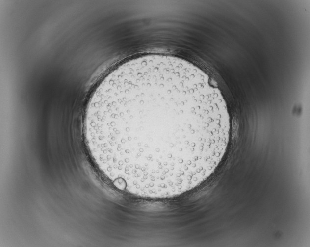 X0000114230349200911201115