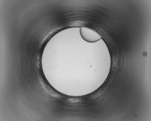 X0000114230351200911201115