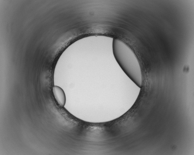 X0000114230352200911201115