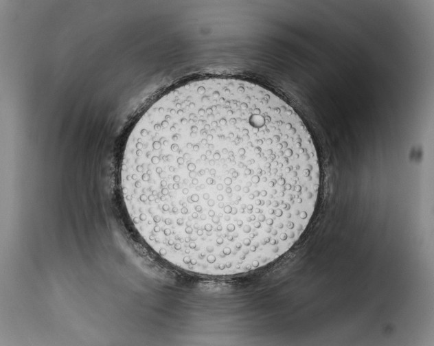 X0000114230354200911201115