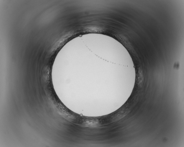 X0000114230355200911201115