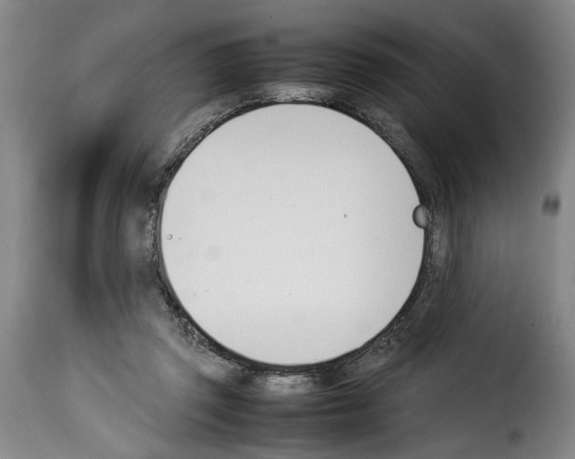 X0000114230357200911201115