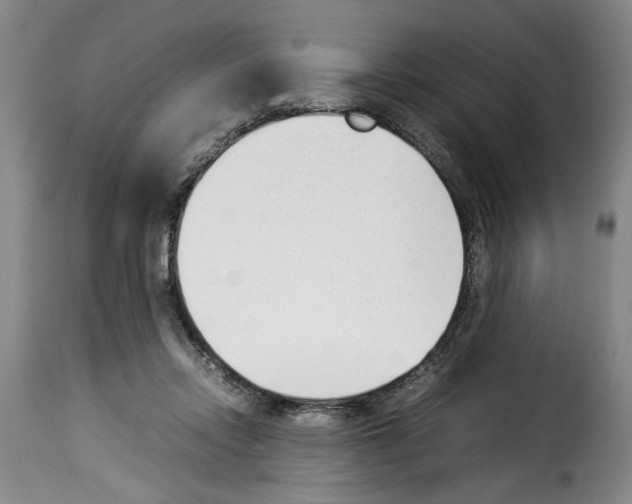 X0000114230358200911201115