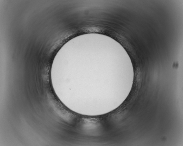 X0000114230359200911201115