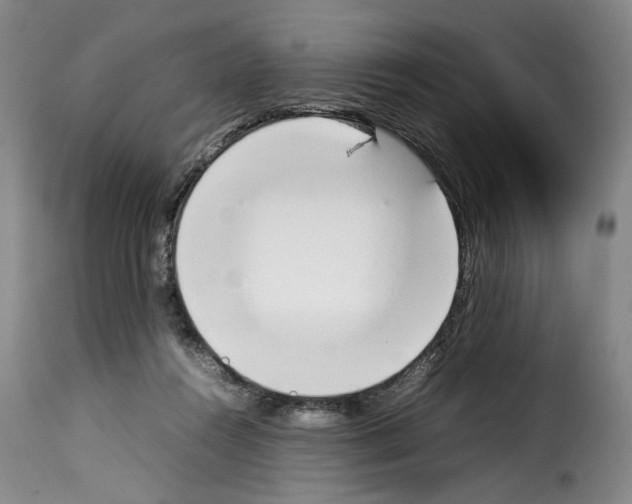 X0000114230360200911201115
