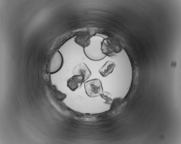 X0000114230361200911201115