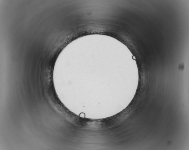 X0000114230362200911201115