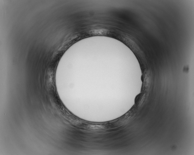X0000114230363200911201115