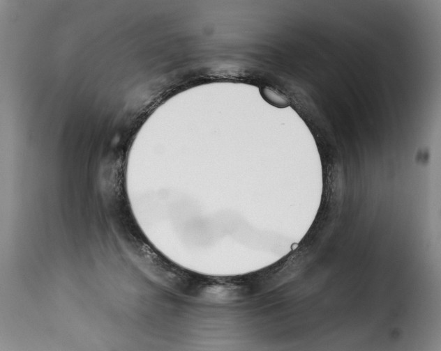 X0000114230364200911201115