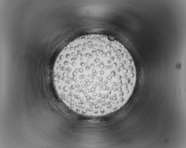 X0000114230366200911201115