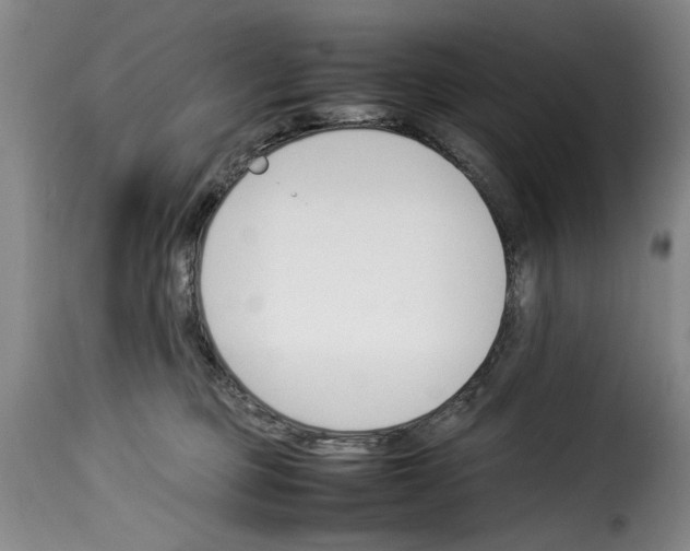 X0000114230373200911201115