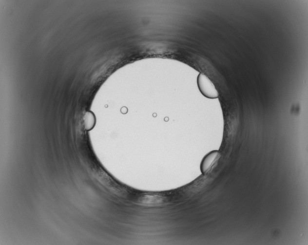 X0000114230376200911201115
