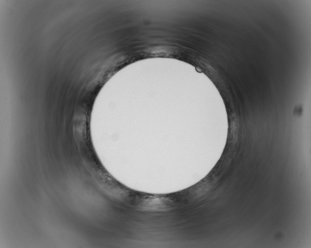 X0000114230379200911201115