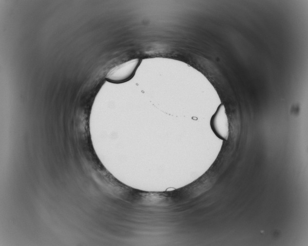 X0000114230380200911201115