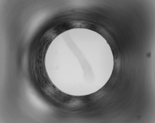 X0000114230381200911201115