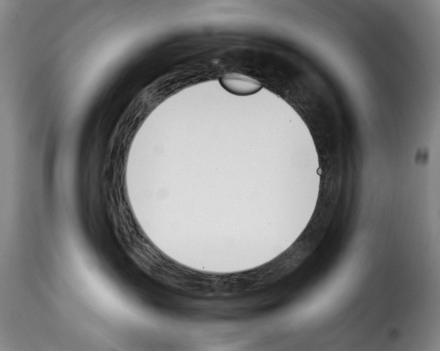 X0000114230383200911201115