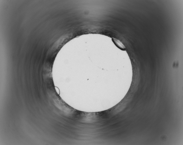 X0000114230384200911201115