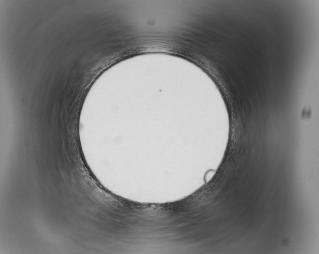 X0000114230385200911201114