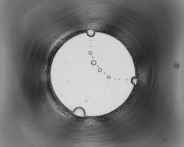 X0000114230392200911201114