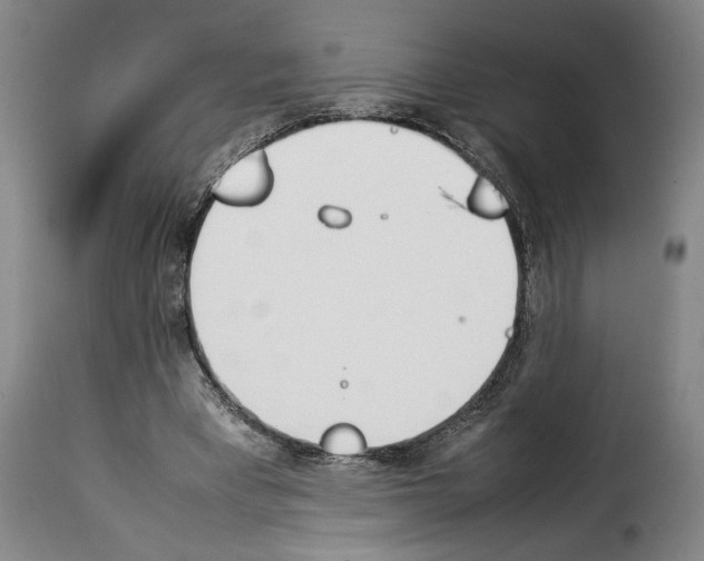 X0000114230393200911201114