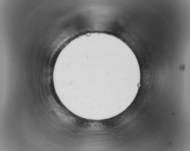 X0000114230395200911201114