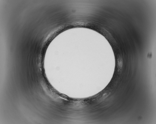 X0000114230396200911201114