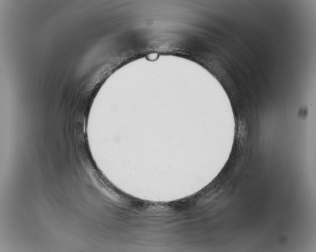 X0000114230397200911201114