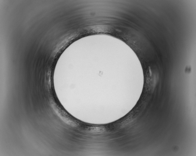 X0000114230398200911201114