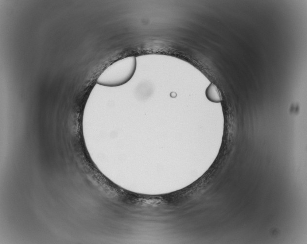 X0000114230401200911201114