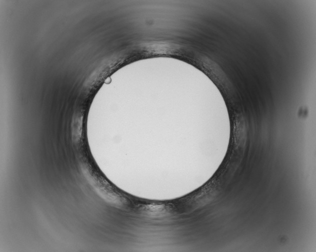 X0000114230406200911201114