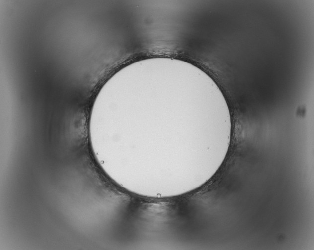 X0000114230411200911201114