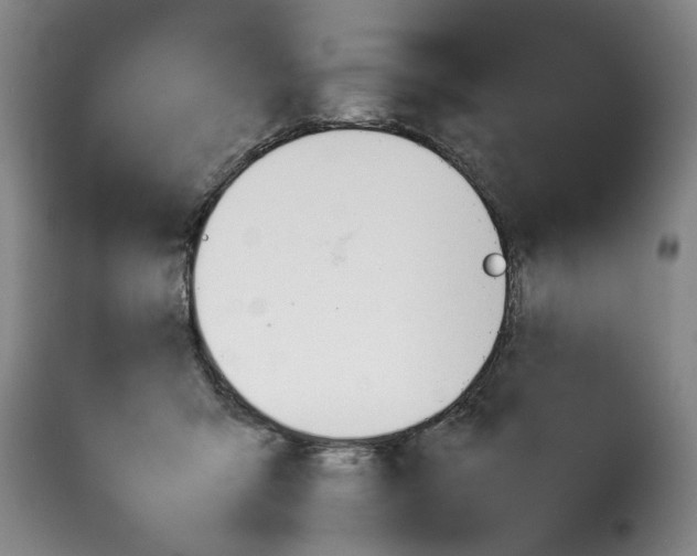 X0000114230415200911201114