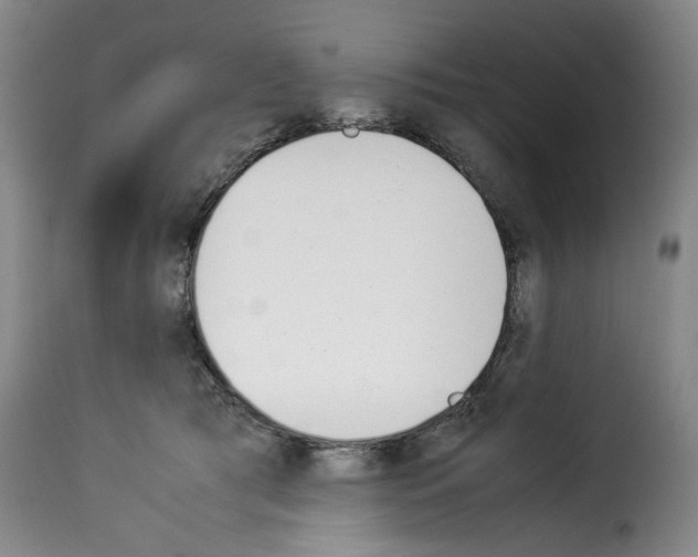 X0000114230417200911201114