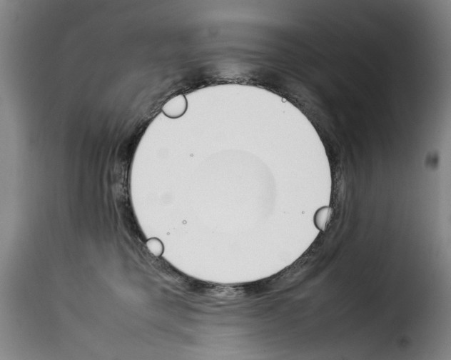 X0000114230421200911201114